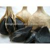 Health 2017 year china new crop garlic Quality  Black  garlic  