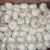 Brand New New Chinese Fresh Pure White Garlic With Great Price #3 small image