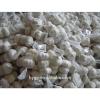 Chinese fresh galic suppliers with best price #4 small image