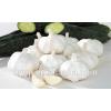 Brand New New Chinese Fresh Pure White Garlic With Great Price #1 small image