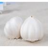Fresh Normal White Garlic #1 small image