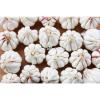 China Supplier Of Fresh Garlic