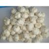 China Big Size Garlic For Sale #1 small image