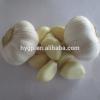 2017 Fresh China Garlic