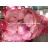 Fresh Red ( Chines type ) Egyption Garlic #5 small image
