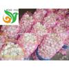 Fresh Garlic in Low Price #1 small image