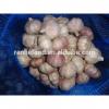 Sell High-quality Fresh Natural pure white garlic #3 small image
