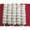 Best Quality and Cheap Price Fresh White Garlic #6 small image