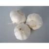 2017 New Corp Grade A Fresh White Chinese Garlic #3 small image