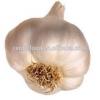 China garlic price/Natual Jinxiang garlic/ Garlic exporters #5 small image