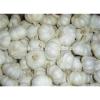 Super fresh pure white garlic from Renhe Food #1 small image