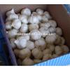 Best Price and Quality 2017 Crop Chinese White Garlic #6 small image