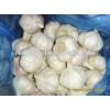 Organic New Crop Bulk Fresh Garlic