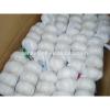 China Pollution Free White Garlic Hot Selling #2 small image