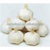 China Factory Exporter 2017 New Crop Normal White Garlic #1 small image