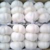 Supply Jinxiang Garlic from Renhe Food #6 small image
