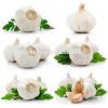 Chinese fresh garlic natural garlic 4.5cm-6.5cm #1 small image