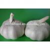 Fresh Organic White Garlic Price #2 small image