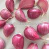 Fresh Organic White Garlic Price #4 small image