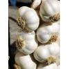reliable garlic supplier / fresh chinese garlic #6 small image