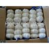 2017 Fresh and Dry Garlic - Chinese Garlic Exporters #2 small image
