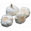 2017 New Crop Fresh White Garlic with Carton Packing #4 small image