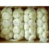New Fresh Pure/Normal White China Garlic/Red Garlic #1 small image