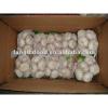 Chinese fresh normal white garlic in #1 small image