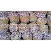 garlic supplier provides best fresh garlic price #6 small image