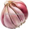 Participate output of egyptian dry garlic with good price/ red / yellow dry garlic #4 small image