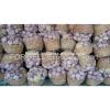 best price products new crop pure white fresh garlic #3 small image