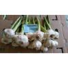 Best Price White Natural Fresh Garlic promotion #3 small image