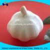 white garlic size4.5cm #4 small image