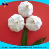 white garlic size5.5cm #5 small image