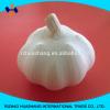 white garlic size5.5cm #6 small image