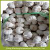Fresh new crop white garlic #3 small image