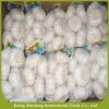 Iqf organic pure white garlic Manufacturers #4 small image