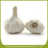 Iqf organic pure white garlic Manufacturers #1 small image