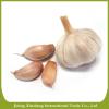 China fresh new crop red garlic #3 small image