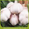 New fresh garlic red Manufacturers #1 small image