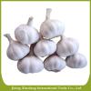 New fresh garlic red Manufacturers #2 small image