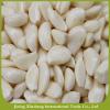 New crop garlic cloves in brine