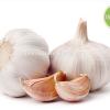 High quality china garlic cheap price 2017 wholesale from farm directly supply