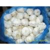 2017 china normal white garlic price #1 small image
