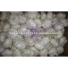 2017 china white garlic price #1 small image