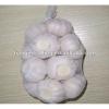 2017 china garlic price #1 small image