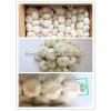 2017 China cheap fresh garlic #1 small image