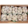 2017 best sell garlic from China #1 small image