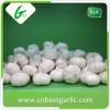 High quality nromal white natural garlic #4 small image