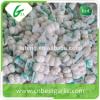 cheap china cheap garlic jinxiang fresh red/normal/pure white garlic factor with low price #1 small image